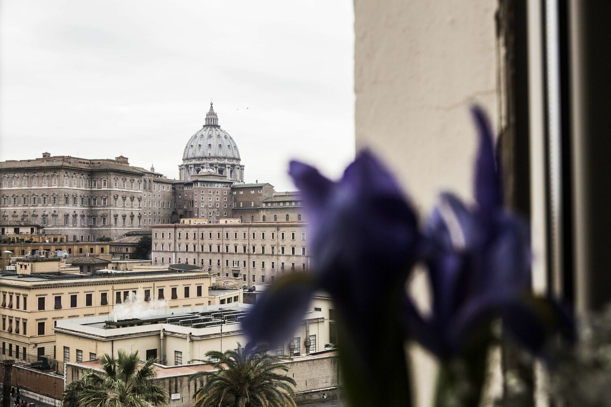 St Peter Bed In Rome Hotel Ngoại thất bức ảnh